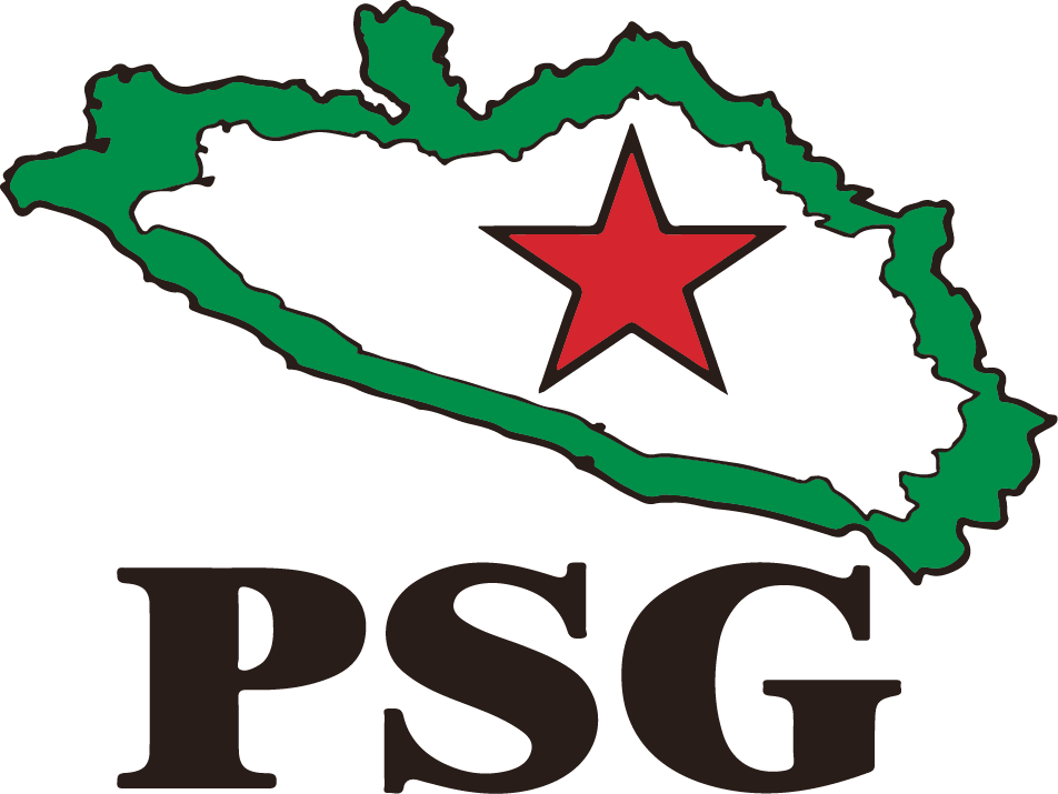 psg Logo