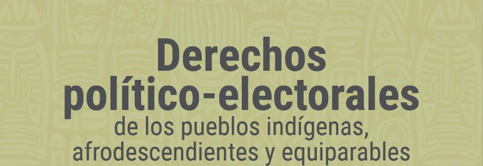 logo portada derechos electorales